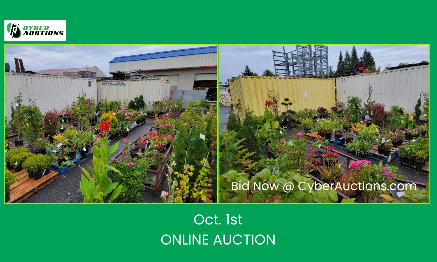Oct. 1st ONLINE AUCTION